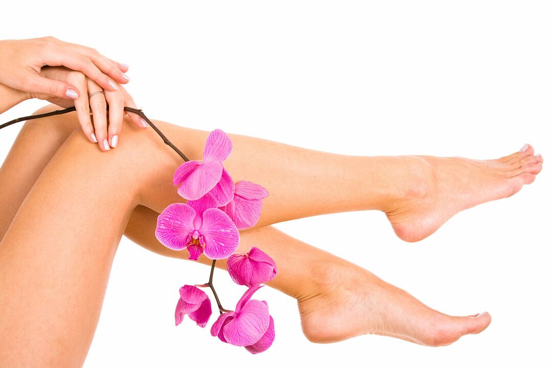 Female legs not affected by varicose veins